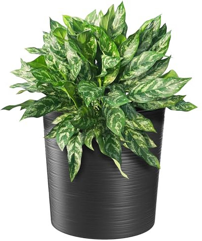 KADAX Blumentopf, eleganter Übertopf mit Einlage, Topf, Gartenschale, Blumenkübel, Blumentopfschutz für Wohnzimmer, Büro (Schwarz, ⌀ 25cm)