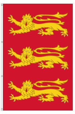 Richard König Richard Banner Fahne 160 x 245 cm Flagge.