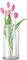 RANJIMA Glas Blumenvase, 30 cm Hoch Vase Glas Zylindervasen Glasvase Vase Groß Rund Modern Glaszylinder mit Boden Glasvasen Gross für Tischdeko Sunflower Wohnzimmer Dekoration,15 cm