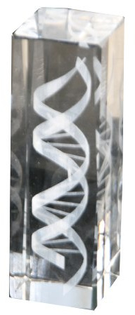 DNA Helix Crystal Statue (6 Inches in Height)