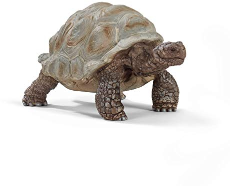 schleich WILD LIFE | Riesenschildkröte 14824 | detailgetreue Tierfiguren | Zoo Spielzeug | tolles Geschenk für Jungen und Mädchen | Deko für Geburtstag | Spielfigur ab 3 Jahren | 8 x 4 x 4 cm