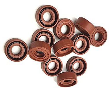 FKM Wellendichtring Tc FPM Covered zweilippig Mit Garter, 12X19X5mm 2Pcs