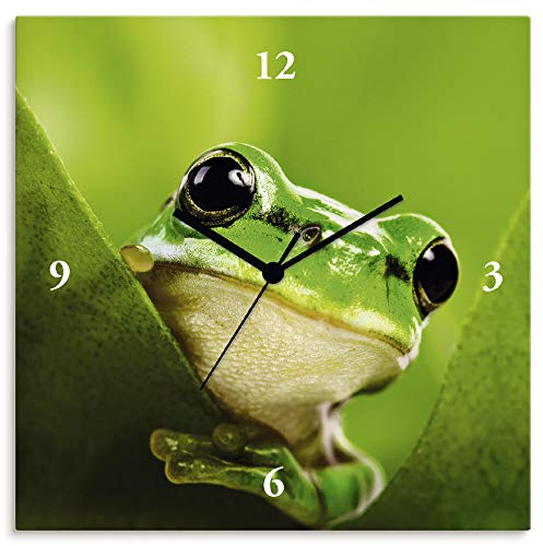 ARTLAND Wanddeko Wanduhr ohne Tickgeräusche Leinwand Quarzuhr 30x30 cm Quadratisch Lautlos Frosch Tiere Natur Ausgefallen Lustig T5VH
