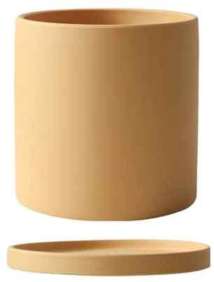 Nankoyal Zylinder-Pflanzgefäß für den Innenbereich, Pflanztopf mit Tablett | Dekorativer Zylinder-Blumentopf - Shop, Garten, Erdbeeren, Küche, Keramik-Sukkulenten-Pflanzgefäß