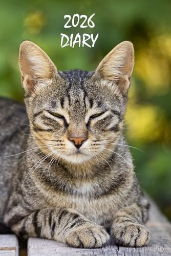 2026 Diary: Cat Lover's Planner, Organiser and Journal, Standard Size: Main UK , Canadian and US Holidays Tabby Cat Edition