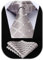 HISDERN Krawatte Herren Champagner Formelle Klassische Karierte Krawatten mit Einstecktuch Hochzeit Herrenkrawatte und Taschentuch Set für Männer