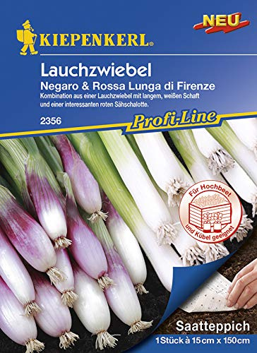 Kiepenkerl 2356 Lauchzwiebel Negaro Rossa Lunga di Firenze (Saatteppich)