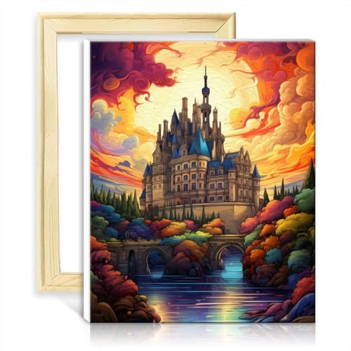 TANGFEIY Ölgemälde „Das Schloss Chambord“, Anfänger-Set für Erwachsene, Heimdekoration mit Pinseln und Acrylpigmenten für Eltern-Kind-Zeit, ohne Rahmen (30 x 40 cm)