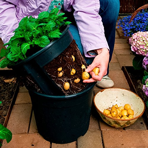 Gärtner Pötschke Kartoffel-Pflanztopf PotatoPot® - PLANTER - Modern - Polypropylen - grün - Patentiertes 2-in-1-System, Dekorativ - Rund - Outdoor - Durchmesser 30 cm, Höhe 27 cm, Inhalt 12 Liter