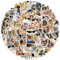 100 Stück Katzen Sticker,Wasserfeste Vinyl Aufkleber,Süße Katze Aufkleber Aesthetic,Lustiges Katzen Aufkleber Set,für Katzenliebhaber Wasserflaschen Sammelalbum Telefon