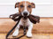 1000 Teile handgefertigtes Basspapier-Puzzle, besonderes Geschenk, Heimdekoration, in Einer Geschenkbox, Hunde, Jack Russell Terrier, Tiere, 26 x 38 cm