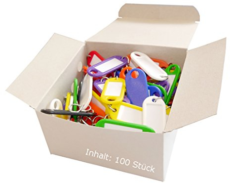 Wedo 262803499 Schlüsselanhänger (aus Kunststoff, mit S-Haken, auswechselbare Etiketten) 100 Stück, farbig sortiert