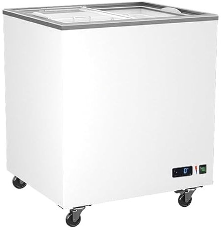 Congélateur Vitrées Portes Coulissantes - 208 à 582 Litres - Virtus