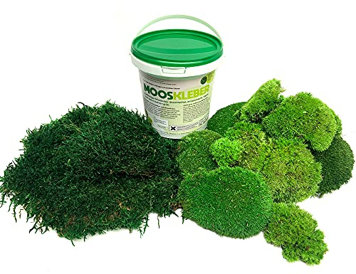 250 g Kugelmoos + 250 g Flachmoos + 1 kg Mooskleber - Plattenmoos und Bollenmoos konserviert - Moos-Set DIY