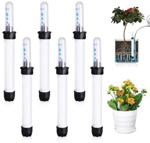 Infreecs 6 StüCk Wasserstandsanzeiger Pflanzen, 20 cm Gießanzeiger Pflanzen Wasserstandsanzeiger, Zimmerpflanzen Hydrokultur Wasserstandsanzeiger, für Kulturtopf Blumenkästen Topfpflanzen
