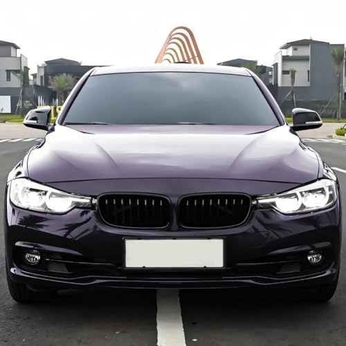 FUANA Frontstoßstange Nieren Racing Grill für BMW 3er F30 F31 F35 2013-2019, ABS-Kunststoff, schwarzer Kühlergrill (einzeln)