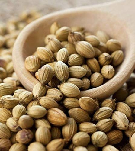 TRS Whole Dhania Coriander Seeds 100g Koriandersamen