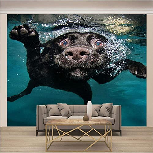 Mural Wallpaper Photo Home Custom 3D Photo Wallpaper Black Dog in Water Wall Painting Art Mural Wallpaper Living Room Tv Background Wall Papers Office Bedroom Dining Room Home D 140 (W) x 70 (H) cm