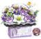 IEEILULU Blume Bausteine Set, 1212 Teilchen Rosen Bonsai Bausatz, Blumen Baustein DIY Blumenstrauß mit LED Streifen, Handheld Geschenkbox, für Erwachsene und Kinder (Lila)