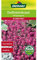 Dehner Blumen-Saatgut, Duftsteinkraut Königsteppich, 5er Pack (5 x 0.7 g)