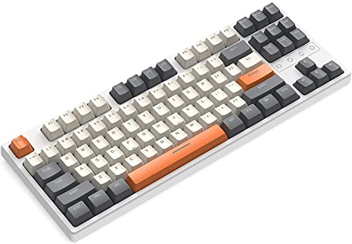 K87 75% Kabellose Mechanische Tastatur, BT5.0/2,4 GHz/Wired Typ-C Triple Mode, 3000mAh Rechargeable TKL 80% Hot-Swap Mechanische Tastatur mit 87 Tasten, RGB LED-Light Up Tastatur für PC/MAC-Red Switch