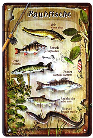 helges-shop Raubfische Blechschild - Metallschild mit Wels Barsch Zander Bachforelle Flussaal Hecht - Retro Deko Schild für Angler-Stube Angel-Verein - Geschenk Freizeit- und Hobbyangler - 20x30cm