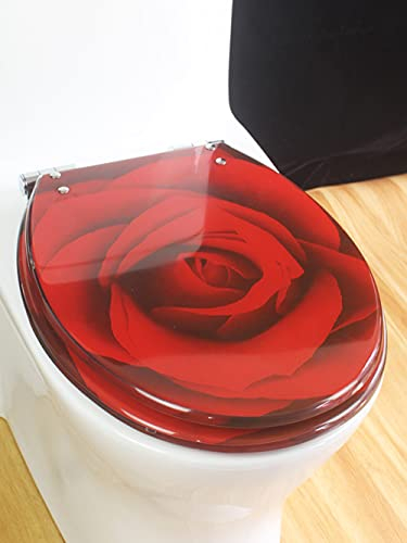 ROUOHUD Toilettendeckel, WC Sitz mit Absenkautomatik, mit Quick Release Funktion, Harz-Toilettensitz-Abdeckung leise, langsam schließend, Harz-Toilettensitz mit stabilen Scharnieren