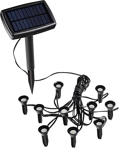 Haushalt International Solarlampe schwarz Außenleuchte modern Pflanzenstrahler 10-flammig, LED Gartenlampe Steckleuchte wetterfest, 10x LED warmweiß, LxBxH 12x8x18 cm