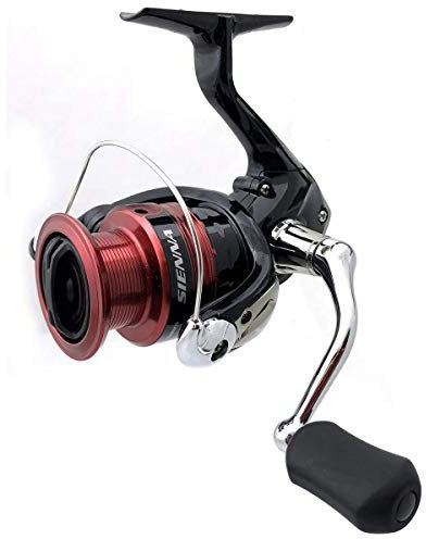 SHIMANO *Sienna 2000 FG Clam Sienna