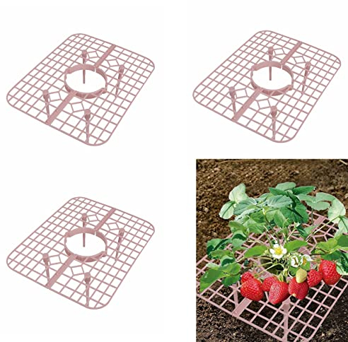 NLDGR Erdbeerstützen, Erdbeerpflanzenständer, Erdbeer-Anzuchtrahmen, Pflanzenstützschale, Erdbeer-Rankgitter für Gartenpflanzen, 10 Stück