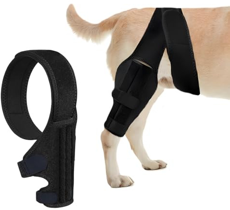 HACRAHO Hunde-Kniebandage für gerissenes ACL-Hinterbein, ACL-Bandage für Hunde, Rückbeine mit seitlichen Stabilisatoren, starke Unterstützung, um Gelenkschmerzen und Muskelkater für die Hinterbeine zu