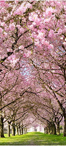wandmotiv24 Türtapete Kirschbaumallee 100 x 200cm (B x H) - Dekorfolie selbstklebend Sticker für Türen, Türfolie, Aufkleber, M0412