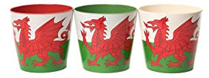 Potty Feet Bamboo Eco-Pots Flags Wales - The Red Dragon Welsh flag- Set of 3