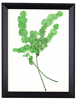 Rahmendesign24 Rio - Marco de fotos doble cristal (30 x 40 cm), color negro mate