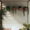 ShCuShan Macetas Colgantes 4 uds Revestimiento Coco Acero Negro Ø40x63cm Macetas para Poner Plantas Naturales, Decoración de Pared