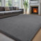 Treeboy Teppich Wohnzimmer 160x230, Waschbarer Kinderzimmer Mädchen Junge Teppich Schlafzimmer Grau Carpet Teppiche Gegend Kurzflor Flauschig Rutschmatte Kinderzimmer Teppiche