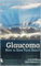Glaucoma: How to Save Your Sight! (English Edition)