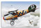 BPQN Vintage-Poster Kampfflugzeug aus dem Ersten Weltkrieg Albatros D.Va 7548-1, Hans-Joachim Von Hippel Jasta 5, dekoratives Gemälde, Leinwand-Kunstbild, 40 x 60 cm