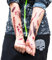Tattoos Narben Wunden Horror Ritzen Helloween - 40 realistisch aussehende Motive