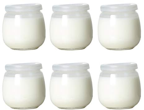 Danmu Art 6Pcs Yogurt Pudding Milk Glass Bottles Jars with Plastic Lids Mini Cup Small Glass Bottles Perfect for Yogurt Maker (200ml)
