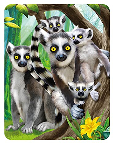 3D LiveLife Magnet - Ring-Tailed Lemurs from Deluxebase. Lenticular 3D Lemur Fridge Magnet. Magnetic decor for kids and adults with artwork licensed from renowned artist, Michael Searle