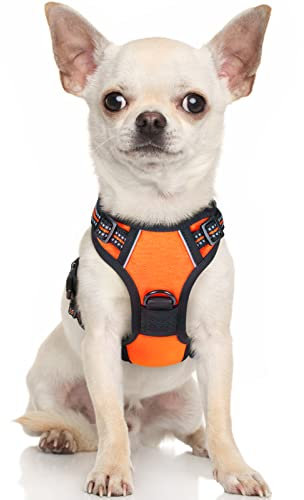 rabbitgoo Hundegeschirr Kleine Hunde, Anti Zug Geschirr mit Kontrolle, No Pull Verstellbar Hundegeschirr Grosse Hunde, Atmungsaktiv Reflexstreifen Brustgeschirr Sichere Führung Orange XS