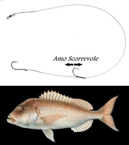 terminale Acciaio Doppio Amo Scorrevole Pesca dentice Pesce Serra traina Vivo