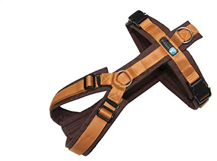 anny-x Brustgeschirr Fun braun Bernstein - Gr. L - ca. 26-38kg