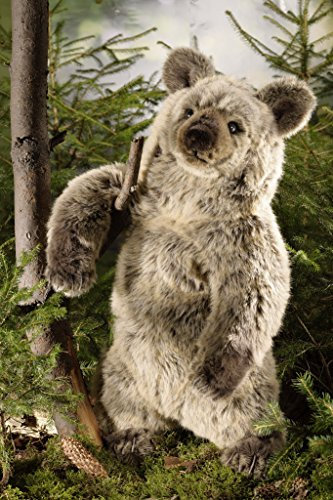 Teddys Rothenburg Kösen, Grizzly, 70 cm, stehend, Graubraun, Plüschgrizzlybär