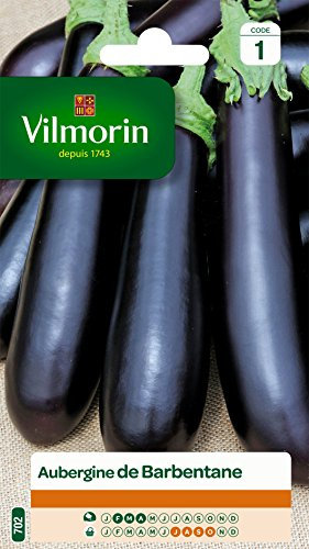 Vilmorin 3132241 Aubergine, Violet, 90 x 2 x 140 cm
