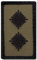 Café Viereck ® Oberleutnant Bundeswehr Rank Patch mit Dienstgrad - Gestickt mit Klett – 3 x 5 cm (Oliv mini)