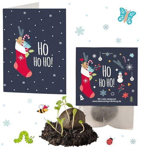 4x Ho Ho Ho Winter Samenbomben Weihnachten inkl. Grußkärtchen | Kleines Dankeschön Geschenk Nikolaus Adventskalender Füllung | Handarbeit Made in Germany | Kaltkeimer Blumensamen Gastgeschenk