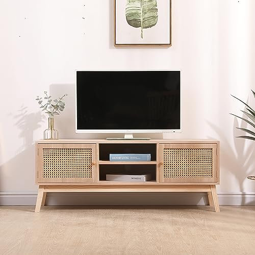FUSIDE Handcrafted Rattan TV Stand - Elegant Wicker Storage Cabinet for Living Room with Shelves and Doors,Media Players and Accessories (2 Door 2 Shelf-120cm)