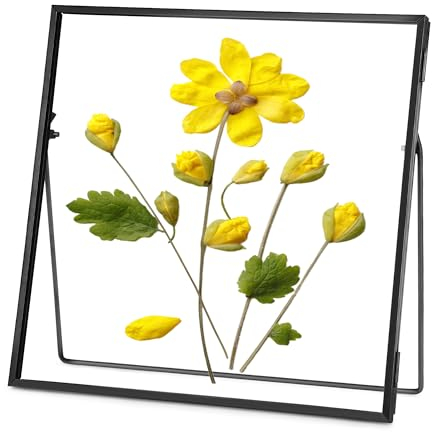 REDHUGO Marco de cristal doble para flores prensadas, hecho a mano, marco de fotos de mesa para fotos flotantes y prensa de flores, simple, geométrico de metal, cuadrado, negro, 8 x 8 pulgadas